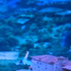 Meet your Posher, Raphael